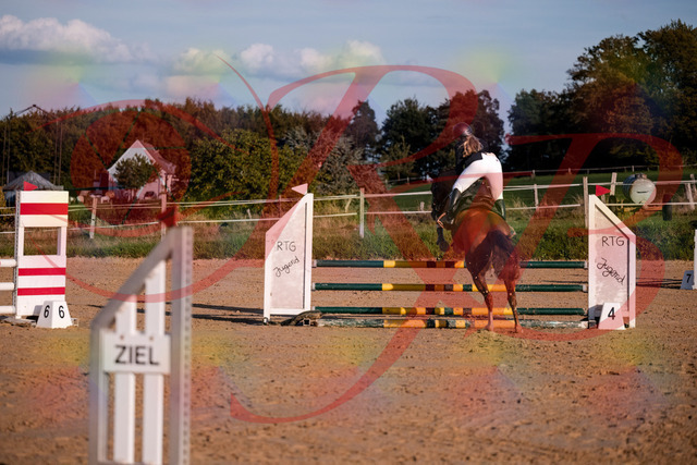 2026_10_03_Siefer-Hof_171727_Z81_15308470 | Professionelle Reitsport-, Turnier- und Eventfotografie von Robert Broda. Galerien mit ausgewählten und bearbeiteten Bildern direkt online ansehen und bestellen.