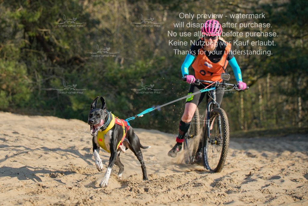 So_Scooter-135 | stephaniefillaphotographie - Realisiert mit Pictrs.com