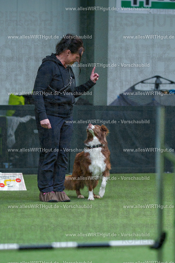 7R501691 | Professionelle Tierfotografie in Mönchengladbach von Daniel Wirth (allesWIRTHgut). Liebevolle & natürliche Bilder von Hunden & Katzen für unvergessliche Erinnerungen.