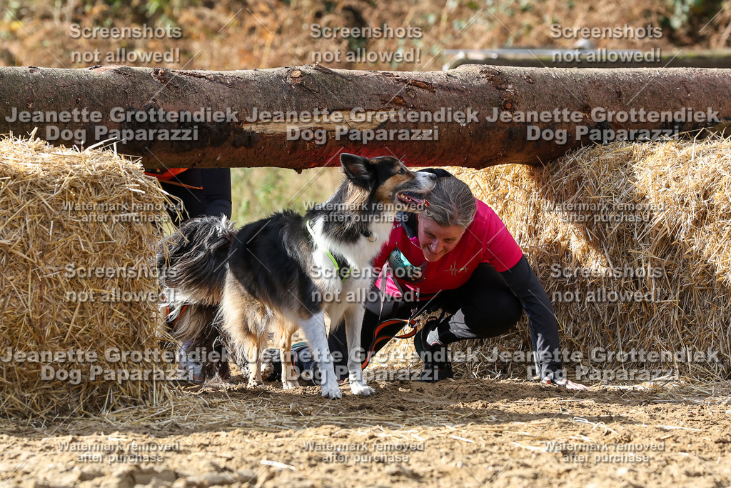 Dog Paparazzi - Strongdog 10-25-5000 | Dog Paparazzi Jeanette Grottendiek Fotografie & Videografie - Realisiert mit Pictrs.com