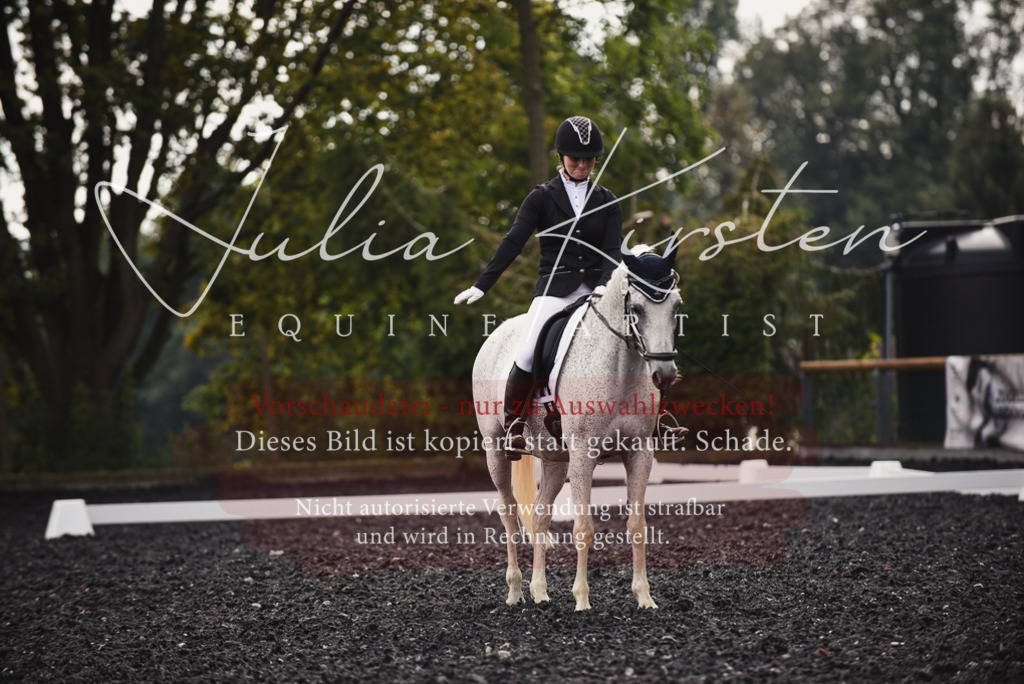 DSC_3978 | Pferde- und Turnierfotografie in Westsachsen. Pferdeportraits, Auftragszeichnungen und intuitive Kunst.