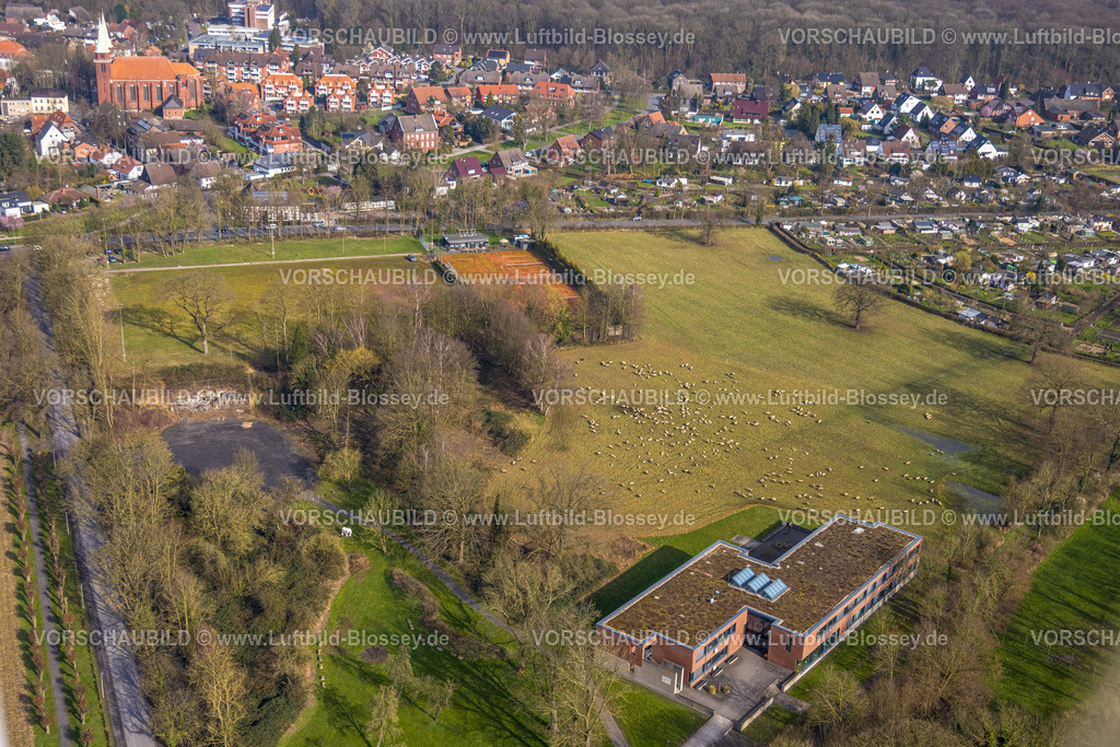 Hamm240300011 | Luftbild, Schafe auf einer Wiese wwischen Schlossstraße und Dolberger Straße, südlich des Sportplatzes Kindergarten Kita-Neubau des SVE Heessen, Stadtbezirk Heessen, Hamm, Ruhrgebiet, Nordrhein-Westfalen, Deutschland