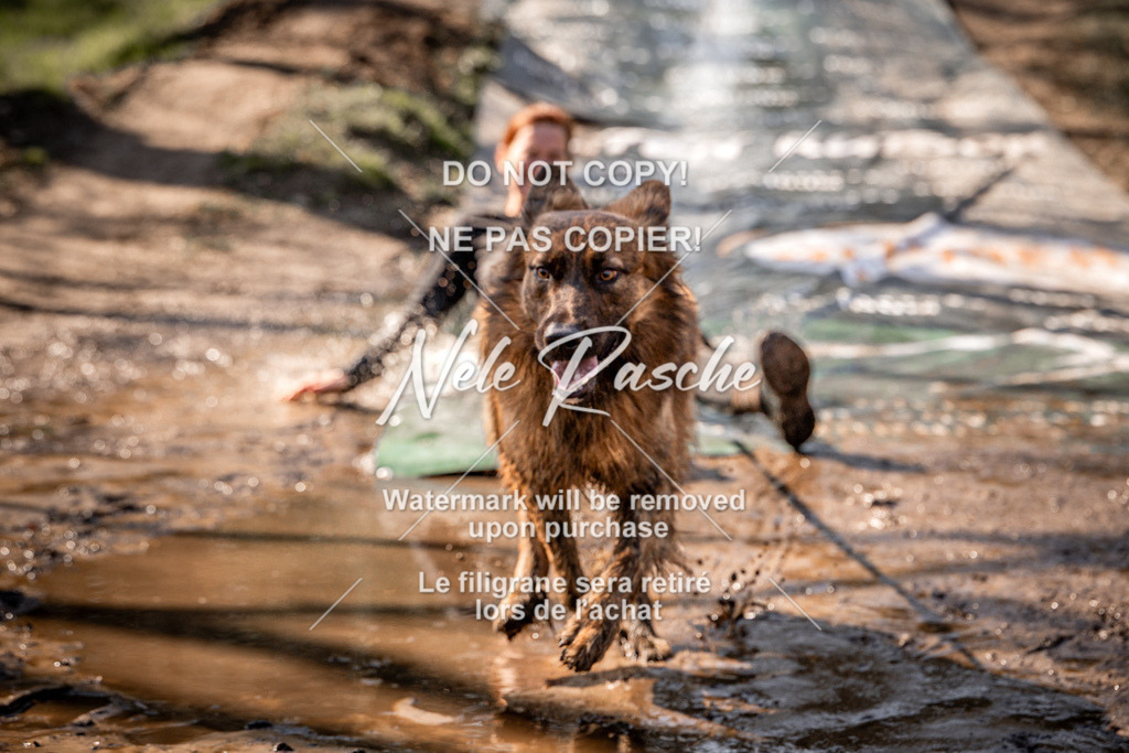 nelerasche_Hulsbeek_So1300-1330_121 | nelerasche