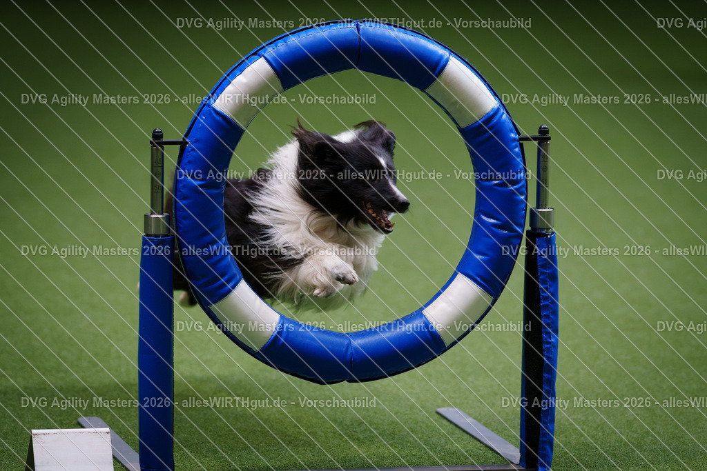allesWIRTHgut_Tierfotografie-DVG_Agility_Masters_2026-09_38-7R509539 | Professionelle Tierfotografie in Mönchengladbach von Daniel Wirth (allesWIRTHgut). Liebevolle & natürliche Bilder von Hunden & Katzen für unvergessliche Erinnerungen.
