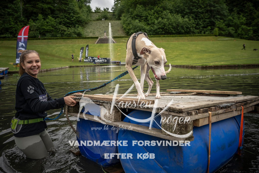 1102_ZZ95929 | kk-dogfotos