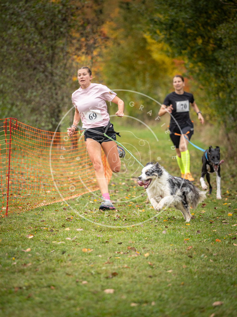 Pfotenfotografie_DV3A2793 | Hundefotografie, Tierfotograf, Pfotenfotografie, Fotoshooting Hund, Hunde Portrait, Hundesport, Hundeportraits, Heideshooting, Hunde, Sportfotograf, Hundefotograf, Turnierhundsport, THS,  - Realisiert mit Pictrs.com