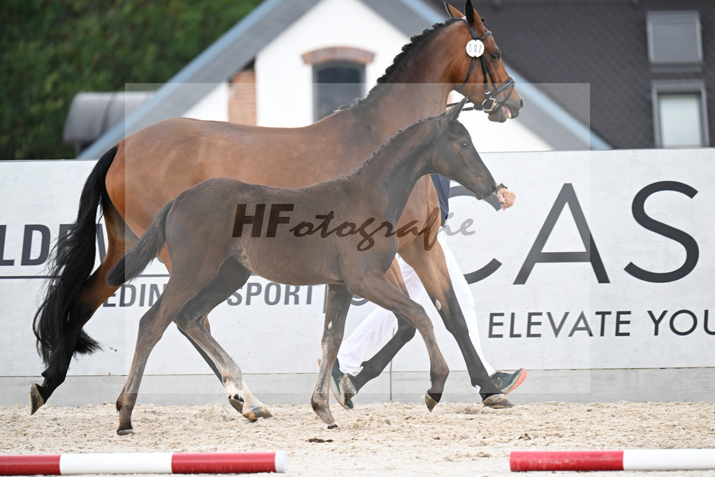Kat-Nr. 7 One Million x Simonetti_SF_Doering_21250666 | hf-fotografie - Realizzato con Pictrs.com