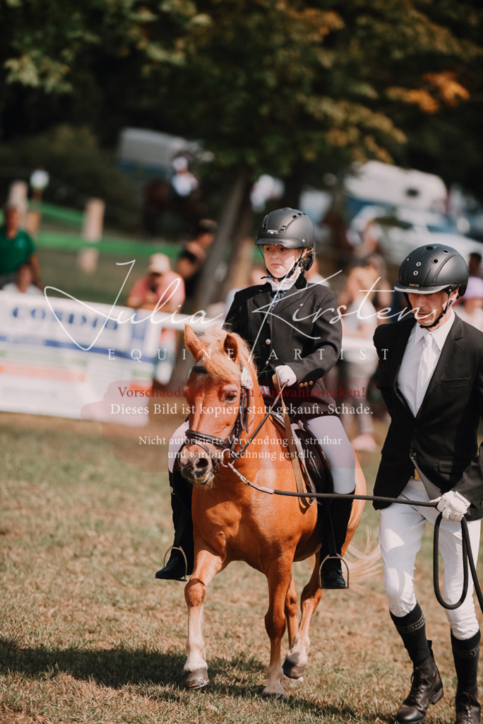 DSC_6065 | Pferde- und Turnierfotografie in Westsachsen. Pferdeportraits, Auftragszeichnungen und intuitive Kunst.