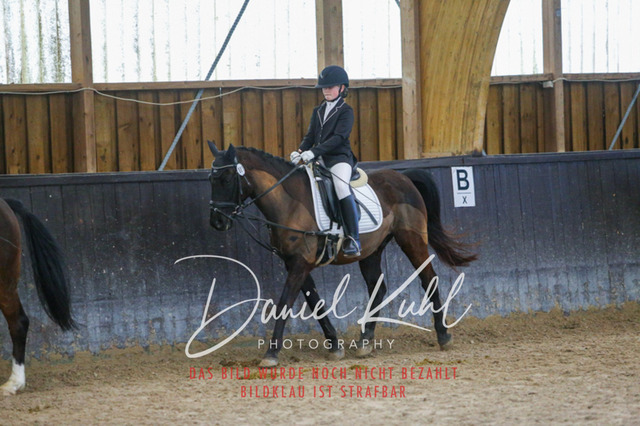 IMG_1478 | Turniersportfotografie; Pferdefotografie; Dressurfotografie