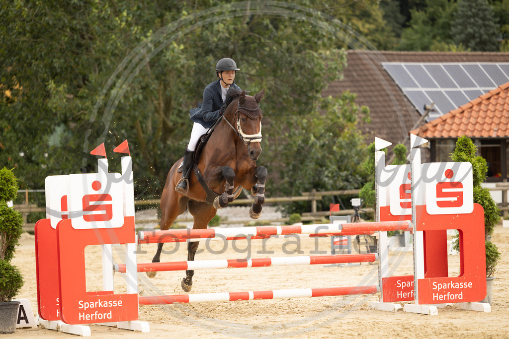 994A8769 | sabrinanicolaifotografie - Realisiert mit Pictrs.com