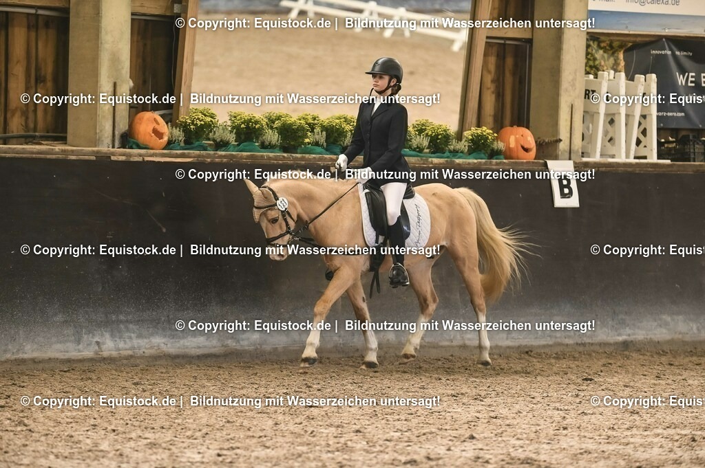 03_Reiter-WB_0134 | Foto: Thomas Hartig