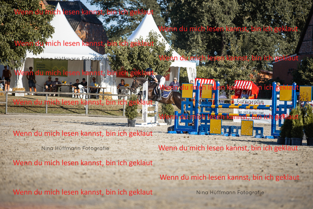 BK1A7868 | Turnierbilder Turnierfotos Nina Hüffmann Turnierfotografie Pferdefotografie Tierzeichnung Haustierzeichnung Pferdezeichnung Hundezeichnung Videograf  - Realisiert mit Pictrs.com