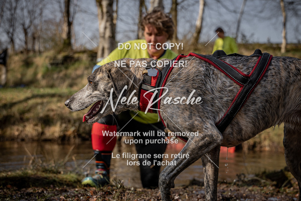nelerasche_FS1330-1400_65 | nelerasche