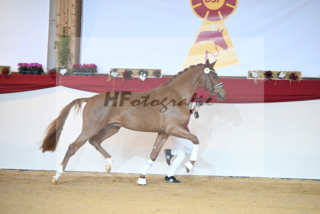 Kat-Nr. 44 Donier_Hertweck_1231347 | hf-fotografie - Realisiert mit Pictrs.com