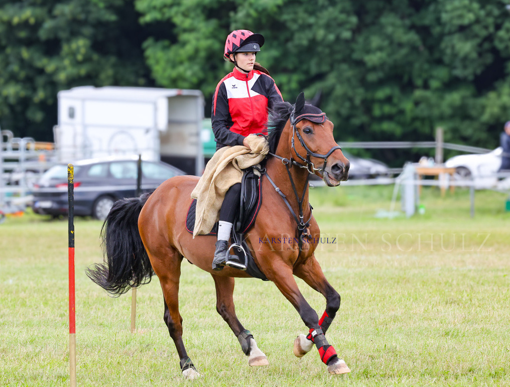 1B3A2876 | Reitsport Reiten