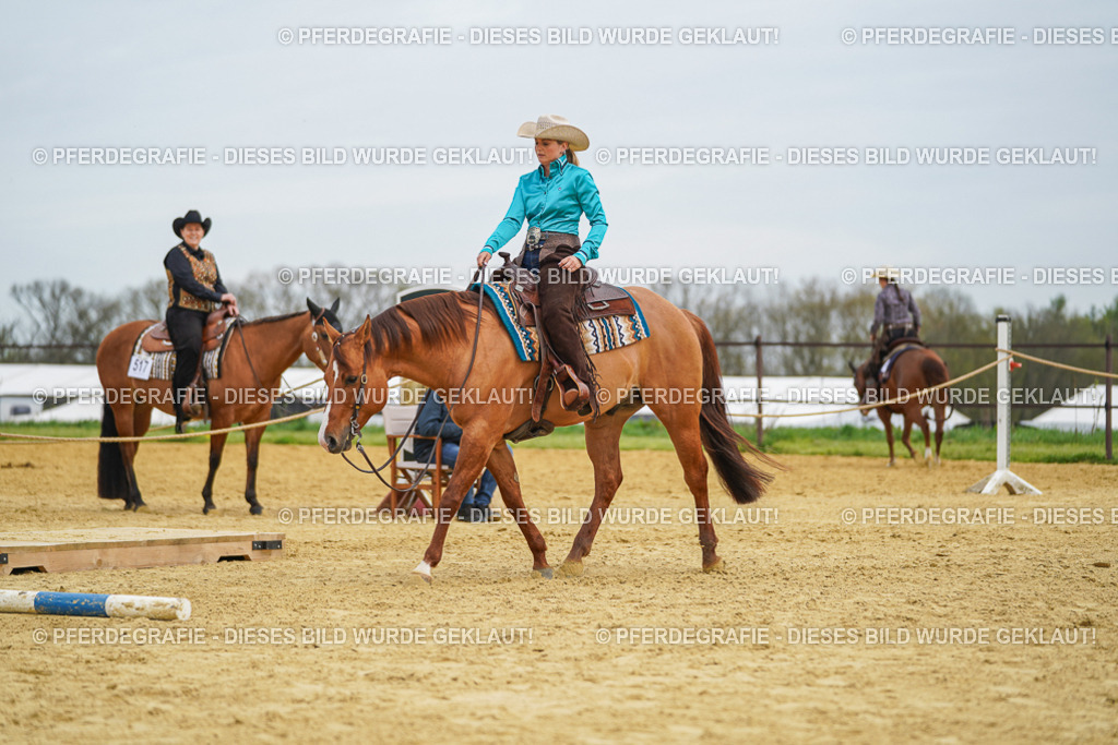 DSC03132 | Pferdegrafie