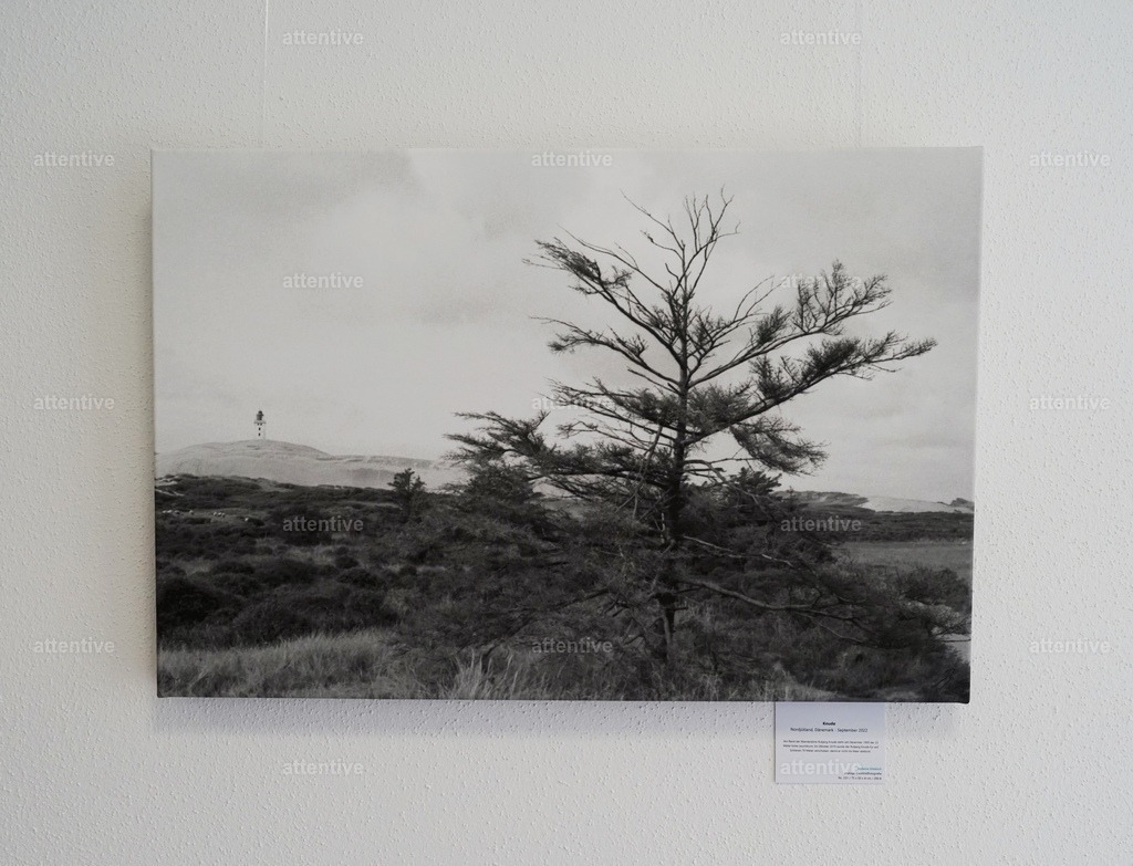 Knude - 75 x 50 x 4 cm | Bestellbare Fotokunst von Melanie Stiebich: Analoge Schwarzweißbilder & digitale Farbwelten – als hochwertige Drucke für dein Zuhause. - Realisiert mit Pictrs.com