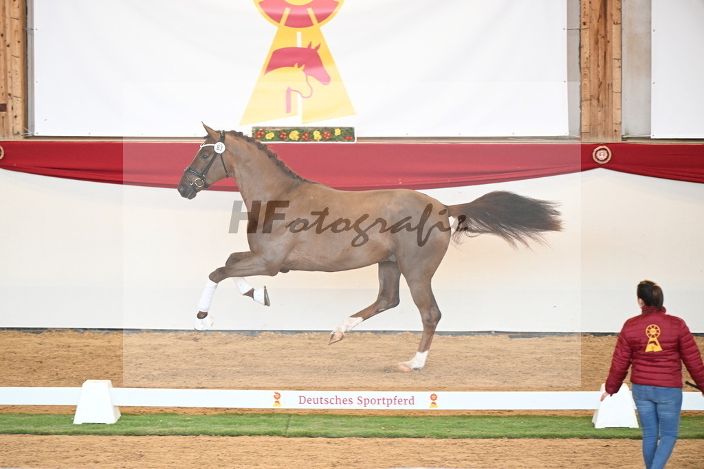 Kat.-Nr. 83 v. Va Bene_Winklmaier_2250895 | hf-fotografie - Realisiert mit Pictrs.com