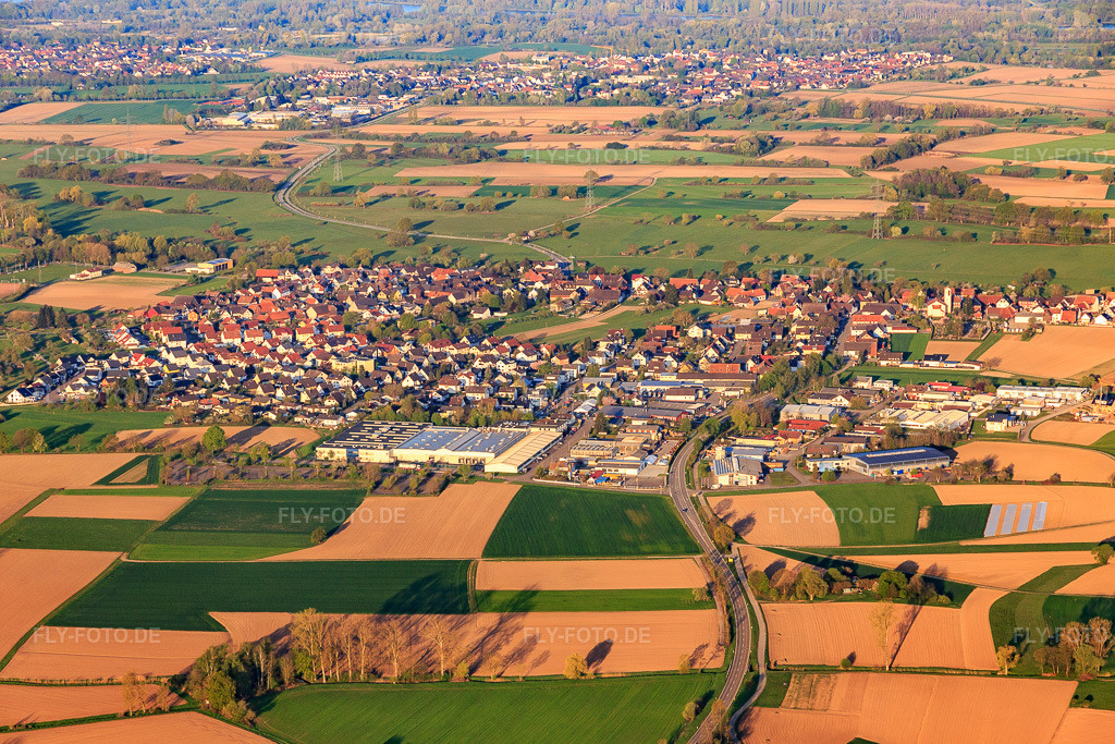 Luftbild: Ortsansicht von Osten im Ortsteil Eckartsweier in Willstätt im Bundesland Baden-Württemberg in Deutschland. Foto: IMG_126563.jpg vom 25.04.2021 durch Werner Riehm/FLY-FOTO.de