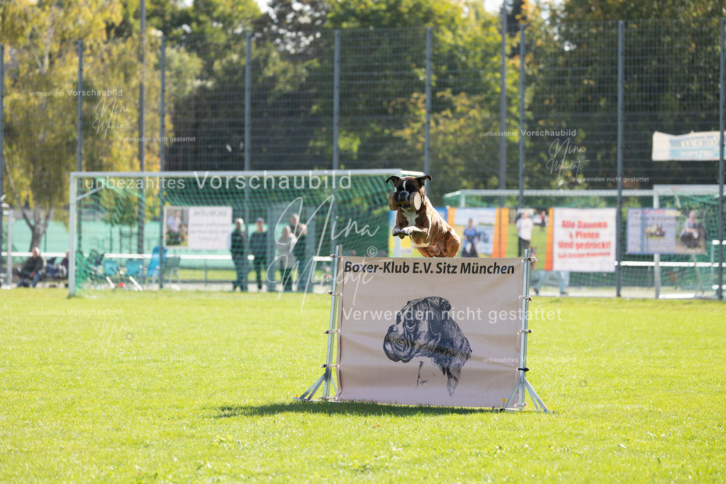 _16A5257 | Einzigartige Fotos von Hunden & Menschen –Actionfotos, Portraits, Vereinsaufnahmen & Paarshootings – authentisch, lebendig & mit Herz.
