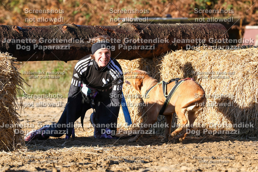Dog Paparazzi - Strongdog 10-25-1237 | Dog Paparazzi Jeanette Grottendiek Fotografie & Videografie - Realisiert mit Pictrs.com