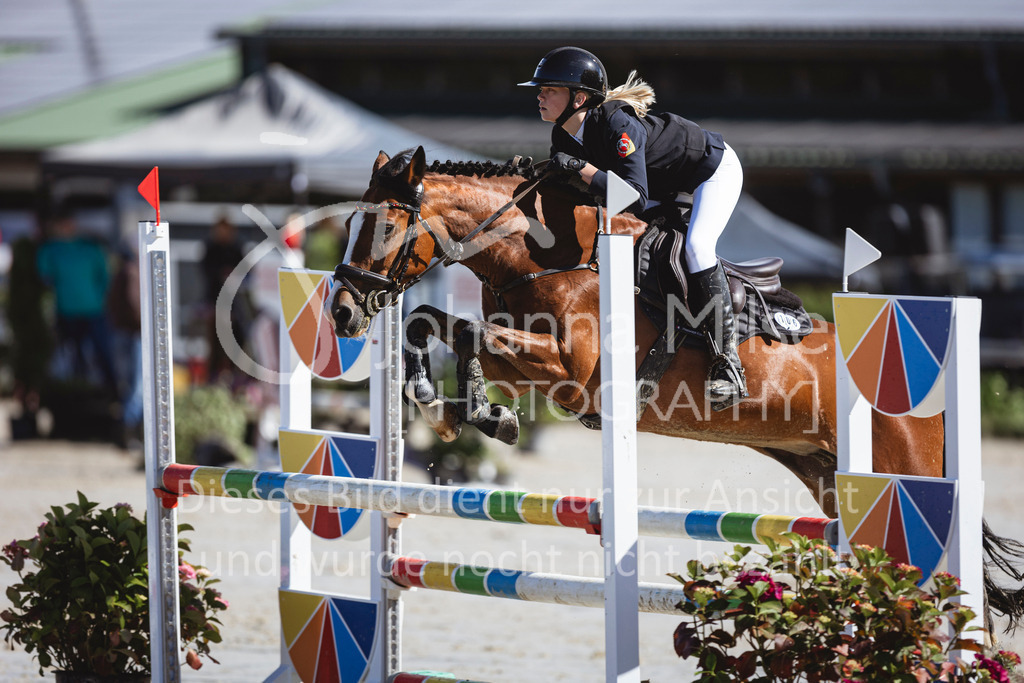 240615_CoesfeldLette_Stil-A-223 | Deine schönsten Turniermomente als professionelle Fotos! Entdecke hochwertige Pferdesport-Fotografie im Online-Shop. Jetzt Fotos finden & bestellen!