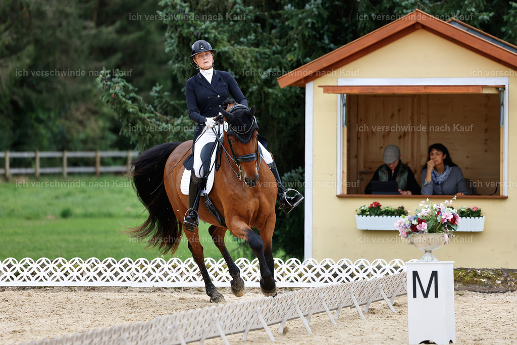 11-189-Dressur S___-StoibPH-921 | working equitationturnier fotograf videograf stoibphotography marixx film working equitation deutschland reitsport turnierfotografie eventfotografie equestrian events