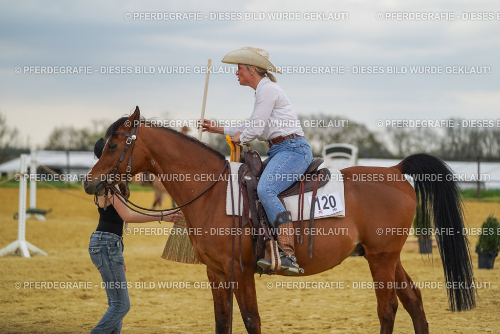 DSC08290 | Pferdegrafie