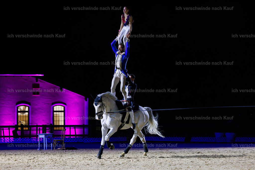 FHClassics-232 | working equitationturnier fotograf videograf stoibphotography marixx film working equitation deutschland reitsport turnierfotografie eventfotografie equestrian events