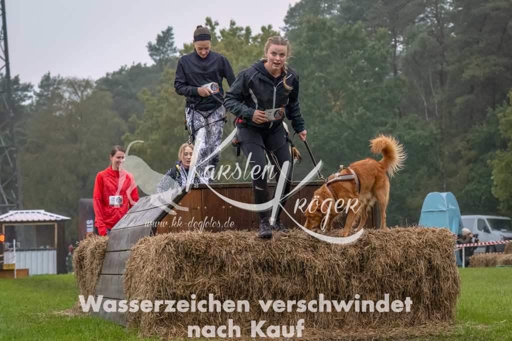 1244--4 | kk-dogfotos