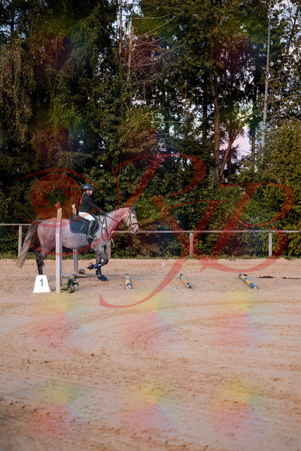 2026_10_03_Siefer-Hof_145033_Z81_28464923 | Professionelle Reitsport-, Turnier- und Eventfotografie von Robert Broda. Galerien mit ausgewählten und bearbeiteten Bildern direkt online ansehen und bestellen.