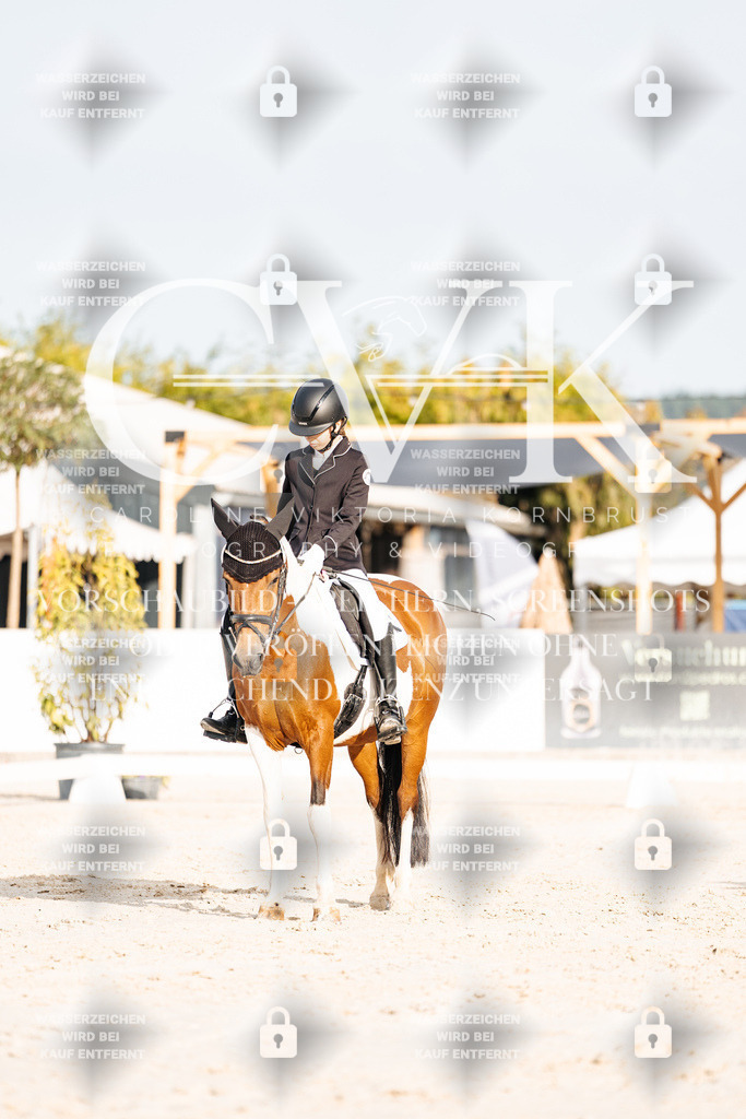 CK903882 | Turnierfotografie Pferdefotografie Trier Rheinland-Pfalz Pferdesport Reitsport Tierfotografie Sportfotografie Pferdevideo Pferdevideografie Equestrianvideography equestrianphotography  - Realisiert mit Pictrs.com