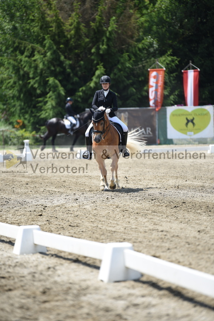 DSC_0365 | equestrian-live-com