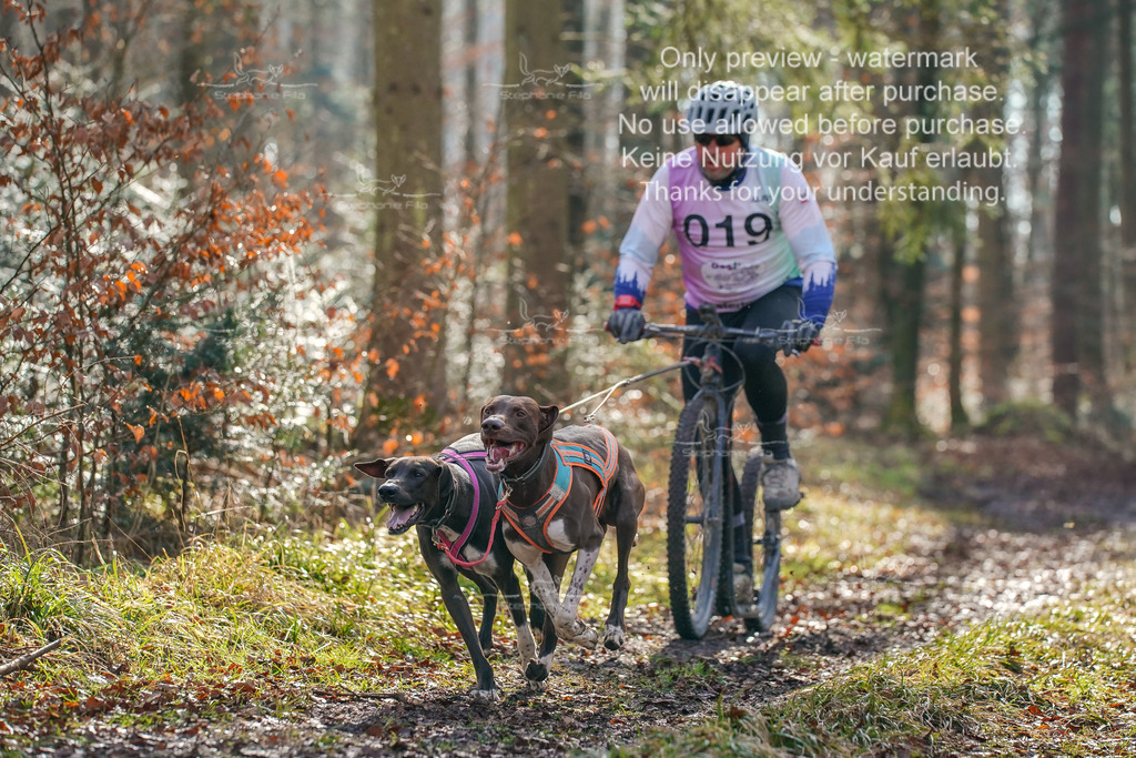 So_Scooter_2-8 | stephaniefillaphotographie - Realisiert mit Pictrs.com