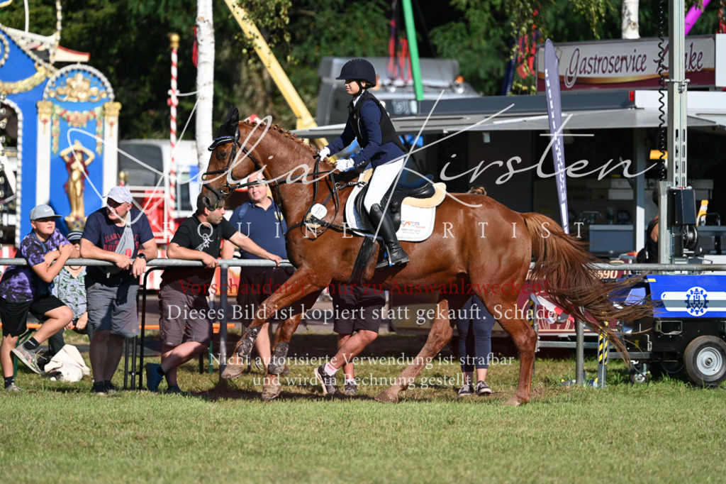 DSC_5119 | Pferde- und Turnierfotografie in Westsachsen. Pferdeportraits, Auftragszeichnungen und intuitive Kunst.
