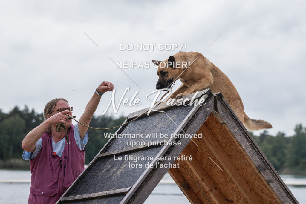 nelerasche_BuHu2026_So1530-Ende_87 | nelerasche