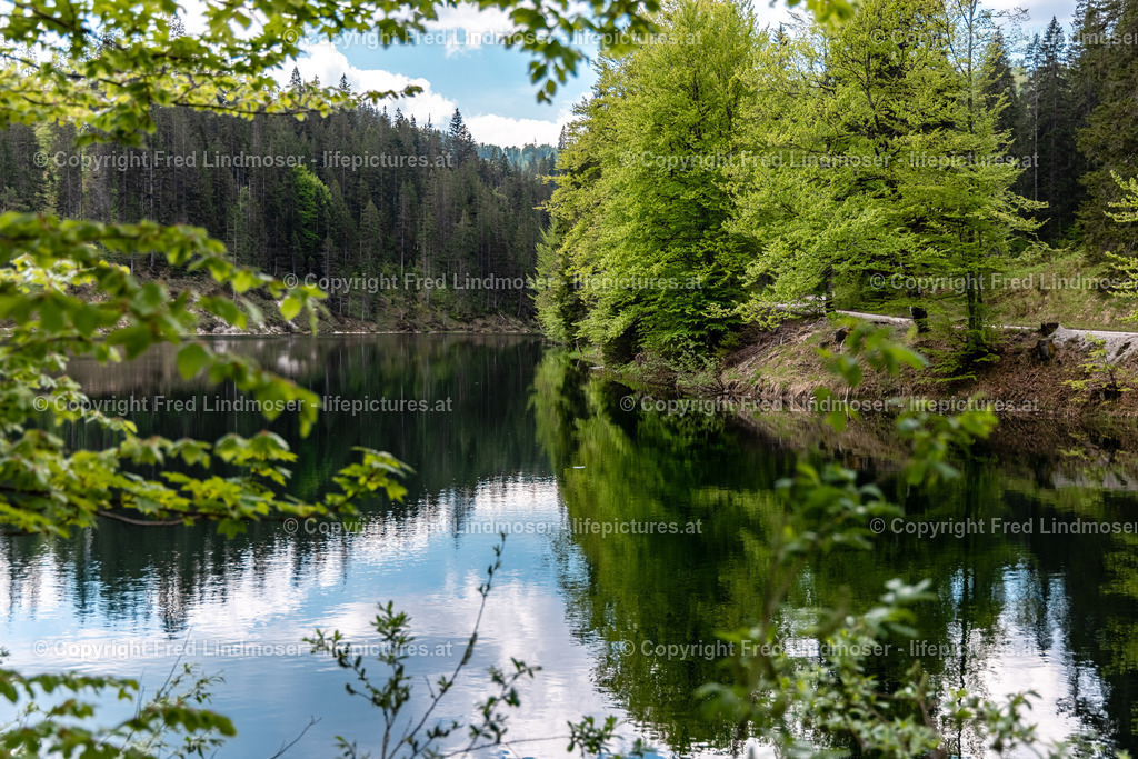 Neuhaus Weisse Ois Oisklause Rundwanderung-6167 | Fotos und Fotoprodukte - Realisiert mit Pictrs.com