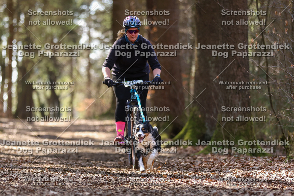 Dog Paparazzi - VCC26-1401 | Dog Paparazzi Jeanette Grottendiek Fotografie & Videografie - Realisiert mit Pictrs.com