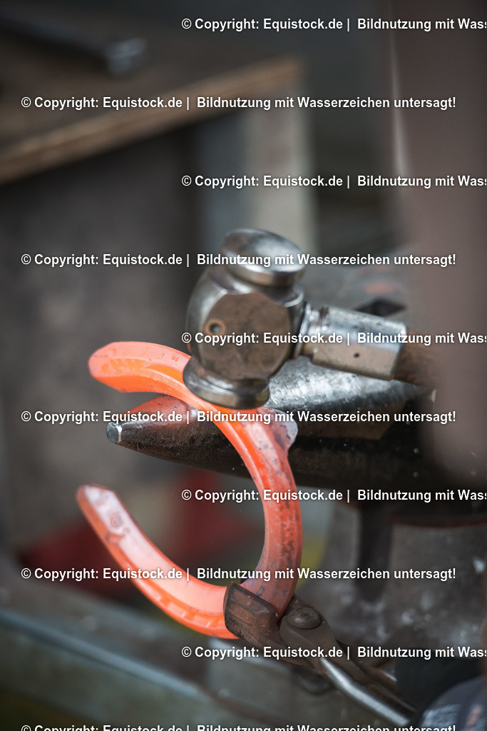 20190711_Hufschmied_0011 | Foto: Thomas Hartig