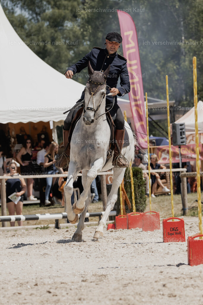 WE_SP_Stoib_327_PI2025_1916 | Pferd International München 2025