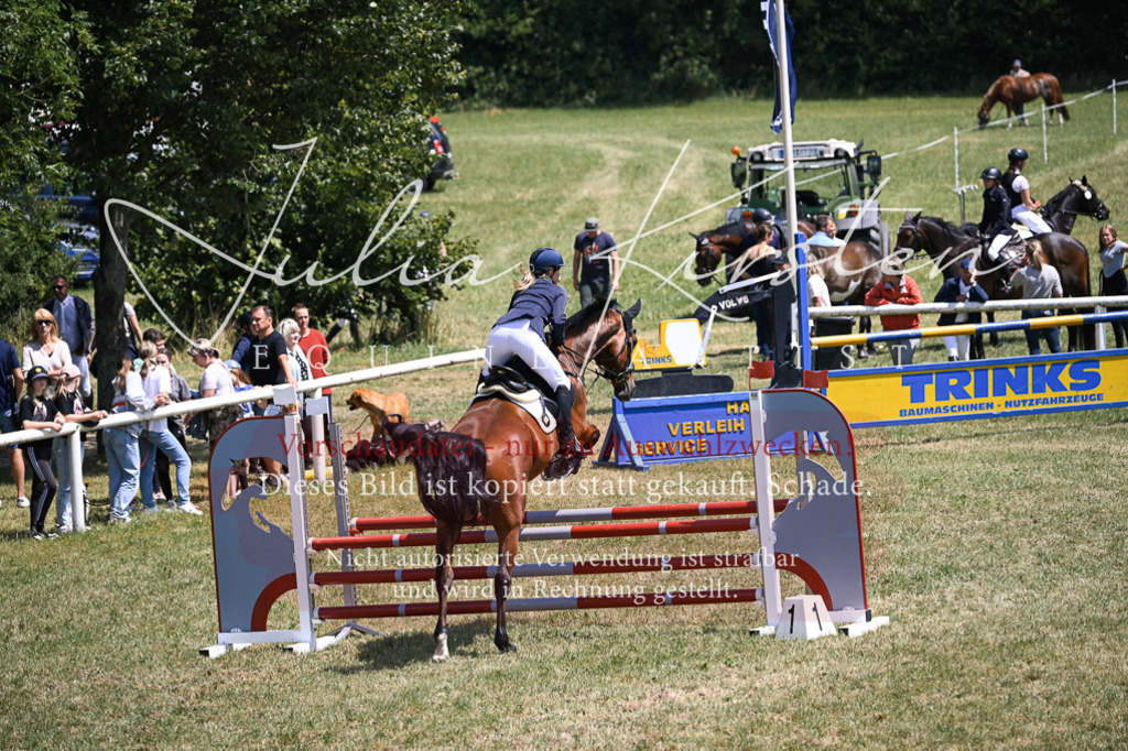 DSC_9630 | Pferde- und Turnierfotografie in Westsachsen. Pferdeportraits, Auftragszeichnungen und intuitive Kunst.