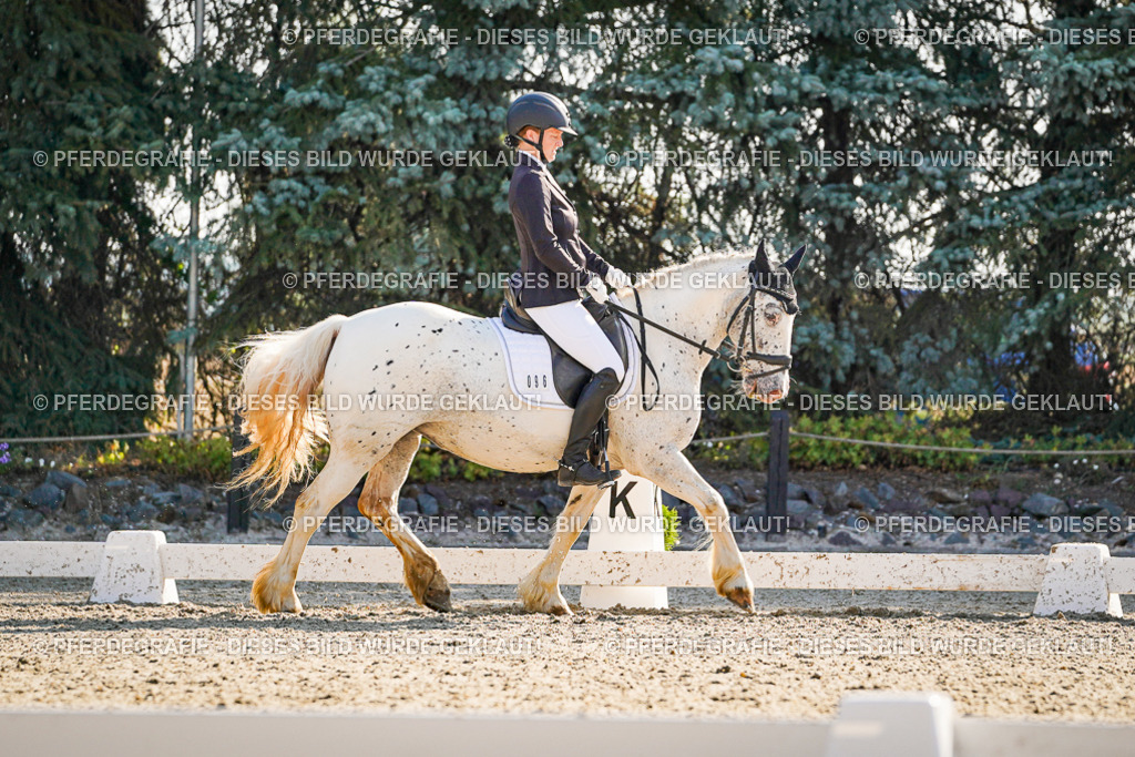 DSC09327 | Pferdegrafie