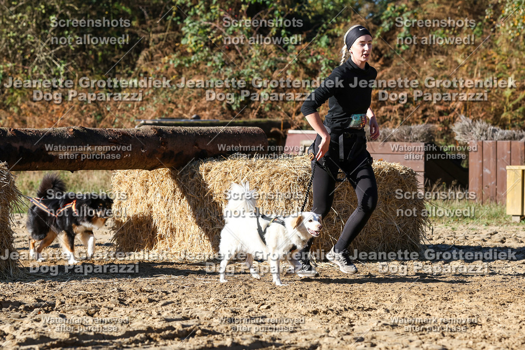 Dog Paparazzi - Strongdog 10-25-2237 | Dog Paparazzi Jeanette Grottendiek Fotografie & Videografie - Realisiert mit Pictrs.com
