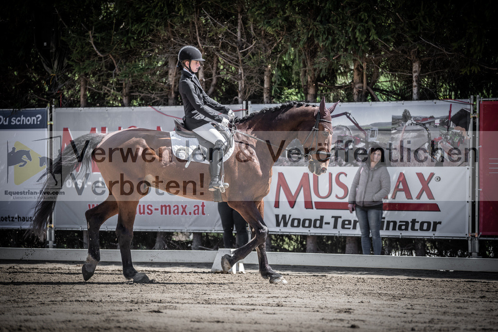 DSC_9889 | equestrian-live-com