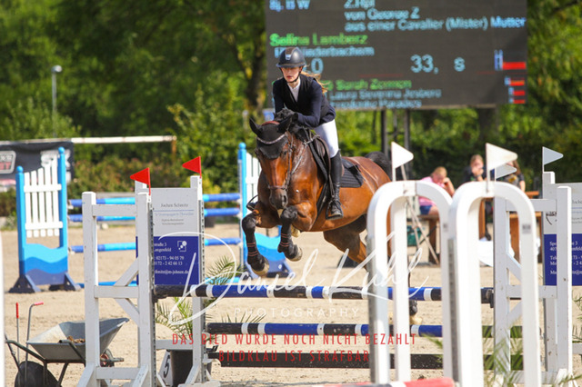 Gut Blee25_Amateuer Stilsprpfg Kl A_0233 | Turniersportfotografie; Pferdefotografie; Dressurfotografie