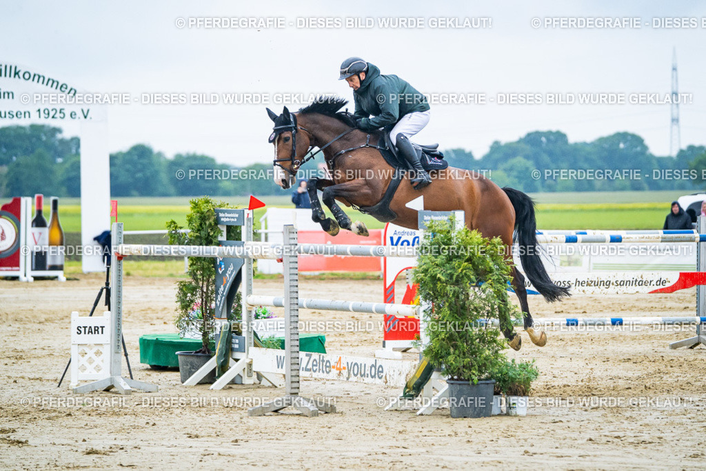 DSC00252 | Pferdegrafie