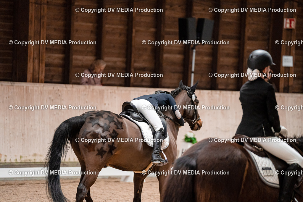 Dressur Tag 2-477 | dv-media-shop - Realisiert mit Pictrs.com