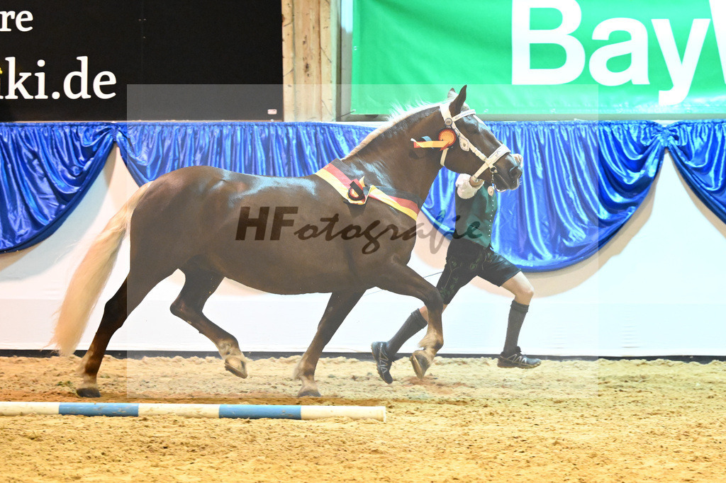 Kat-Nr. 85 Monarchin_Bachmair_53221483 | hf-fotografie - Realisiert mit Pictrs.com