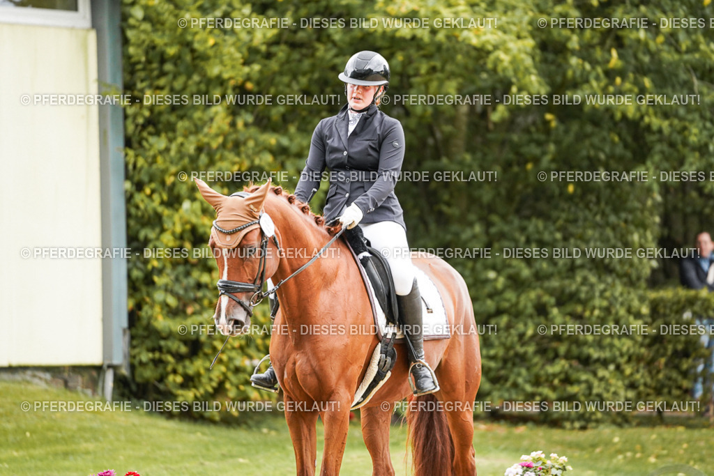 DSC08189 | Pferdegrafie