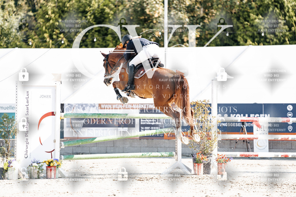 CK902010 | Turnierfotografie Pferdefotografie Trier Rheinland-Pfalz Pferdesport Reitsport Tierfotografie Sportfotografie Pferdevideo Pferdevideografie Equestrianvideography equestrianphotography  - Realisiert mit Pictrs.com